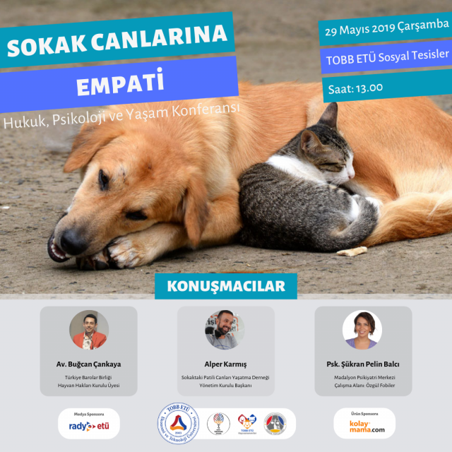 Sokak Canlarına Empati Konferansı